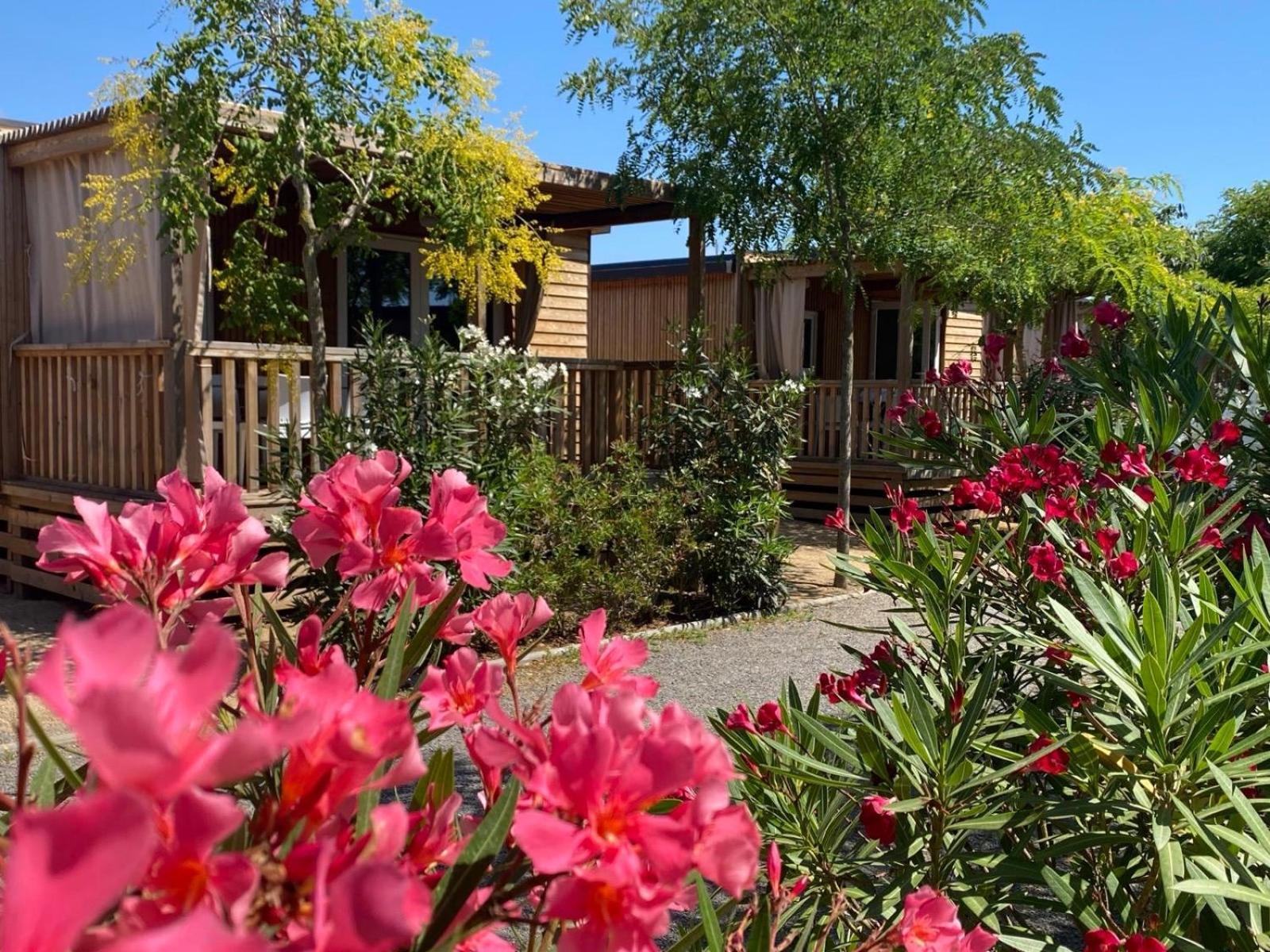 Camping Resort Els Pins Malgrat de Mar Ngoại thất bức ảnh